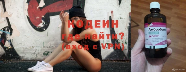шишки Белокуриха