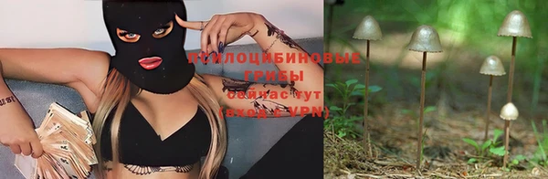 прущие крисы Богородск